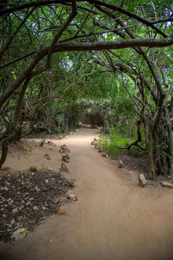 Yala Eco Bush Camp 호텔 외부 사진