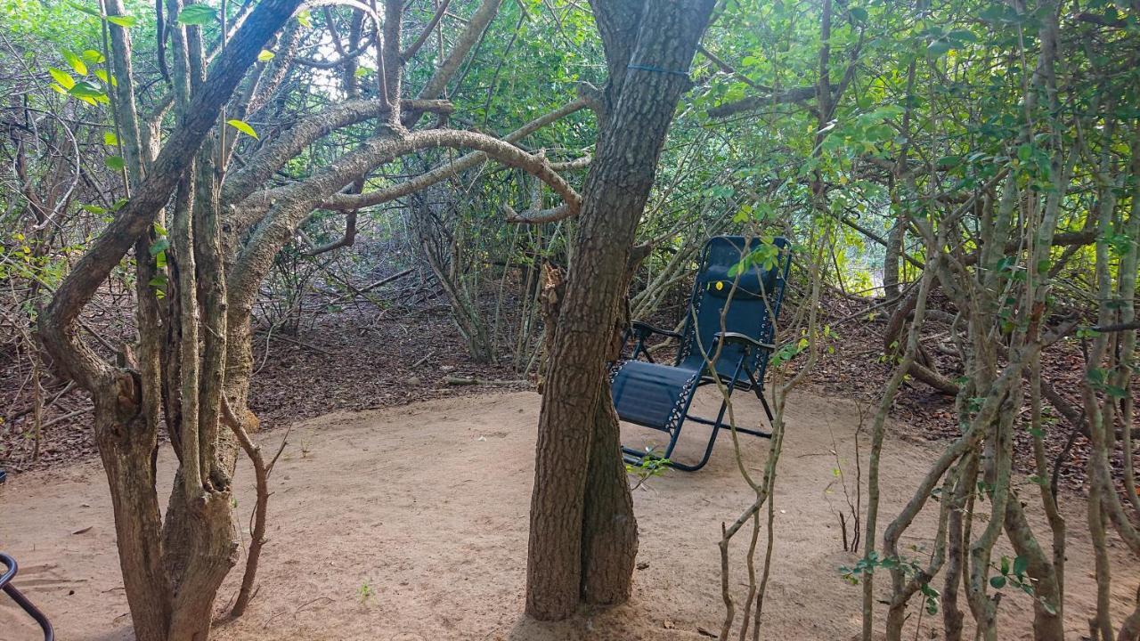 Yala Eco Bush Camp 호텔 외부 사진
