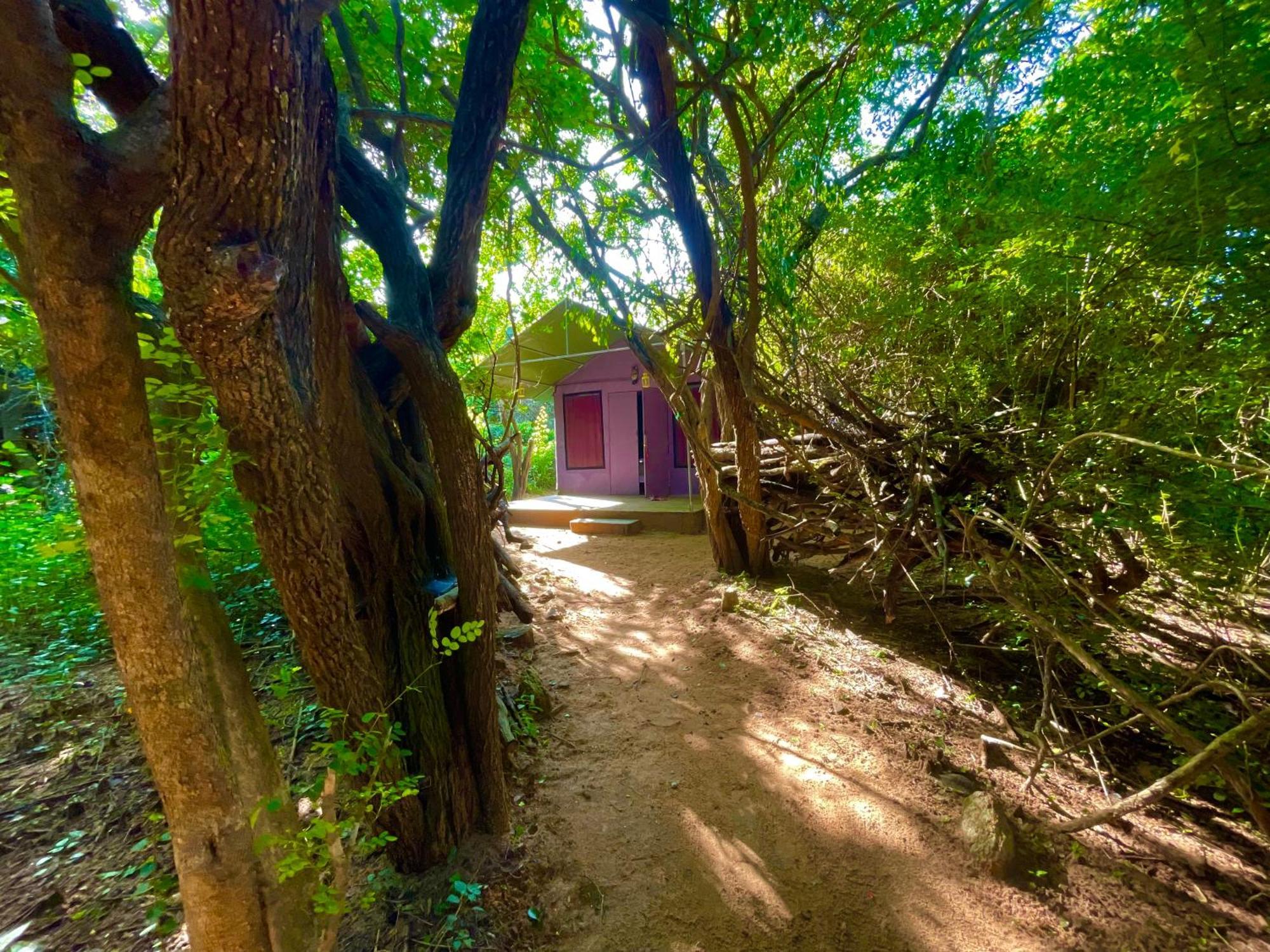 Yala Eco Bush Camp 호텔 외부 사진