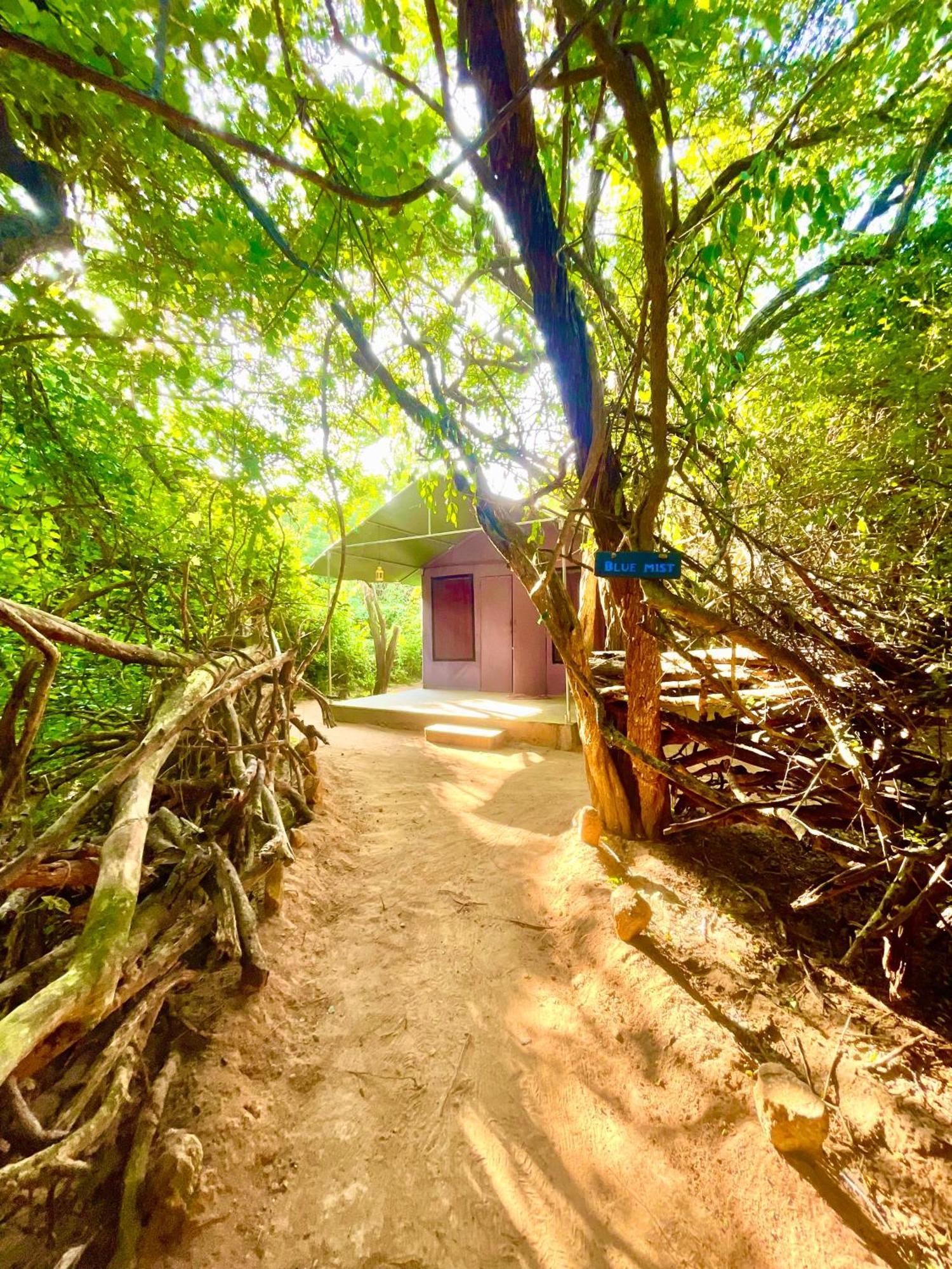 Yala Eco Bush Camp 호텔 외부 사진