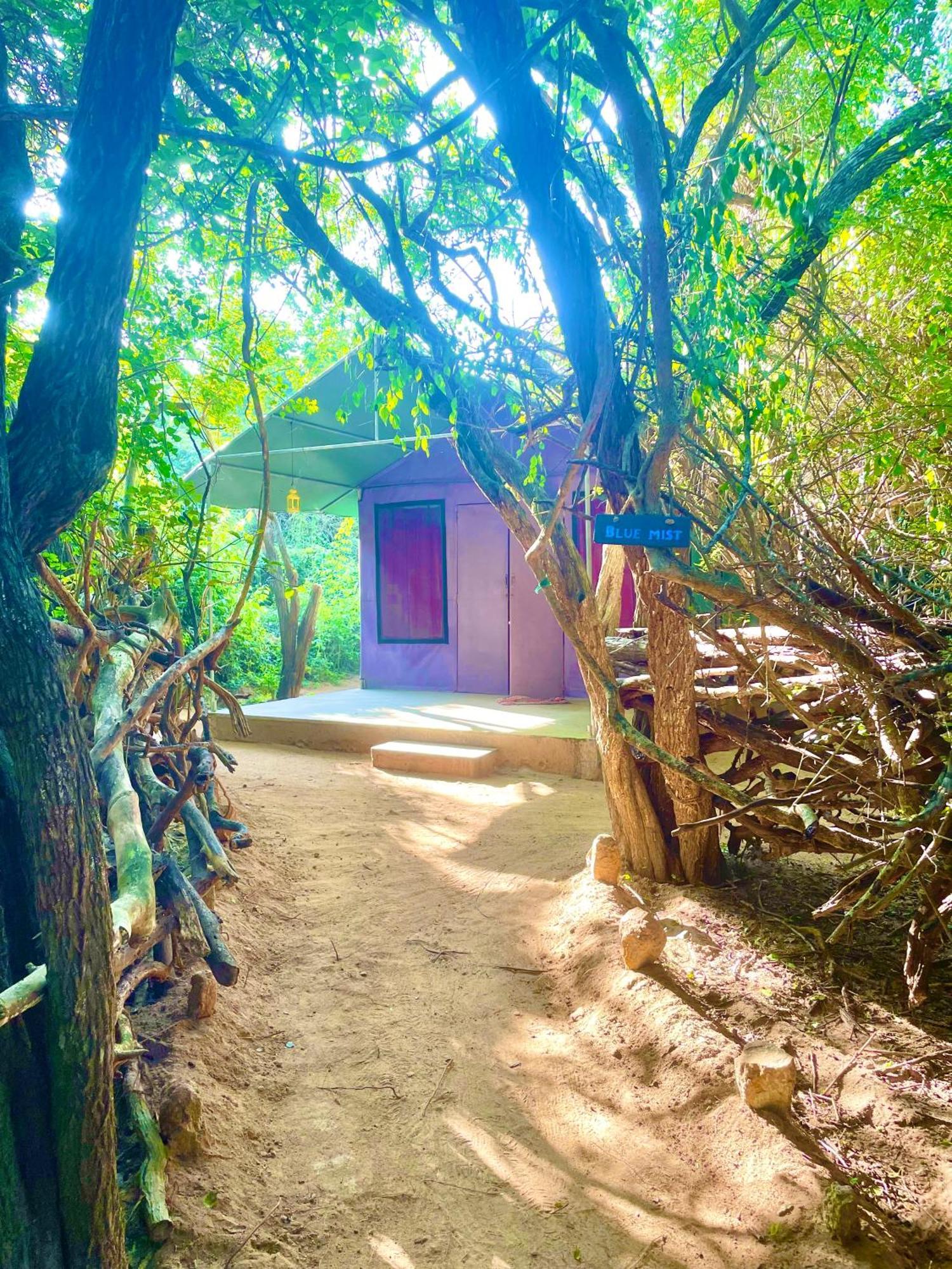 Yala Eco Bush Camp 호텔 외부 사진
