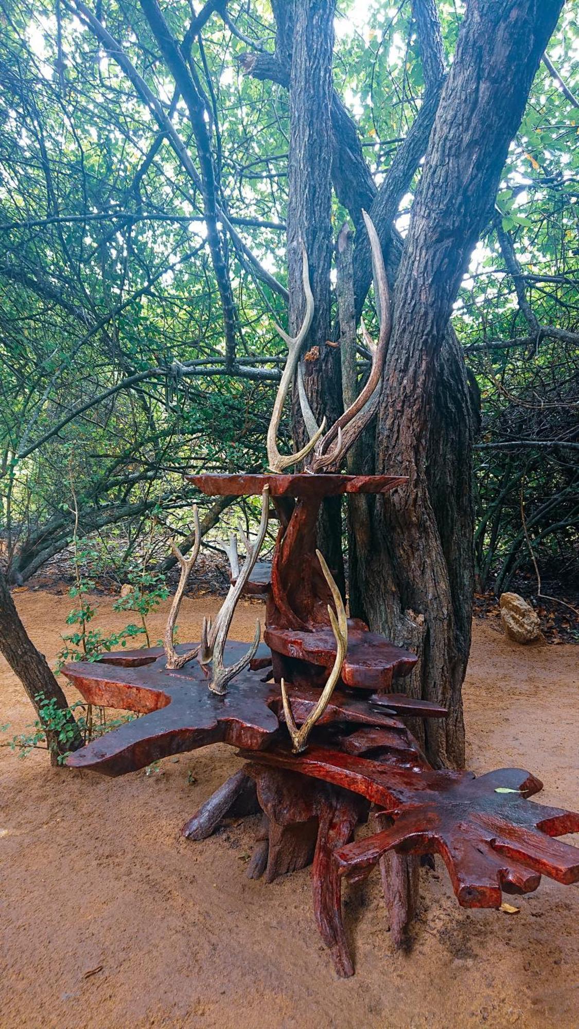 Yala Eco Bush Camp 호텔 외부 사진
