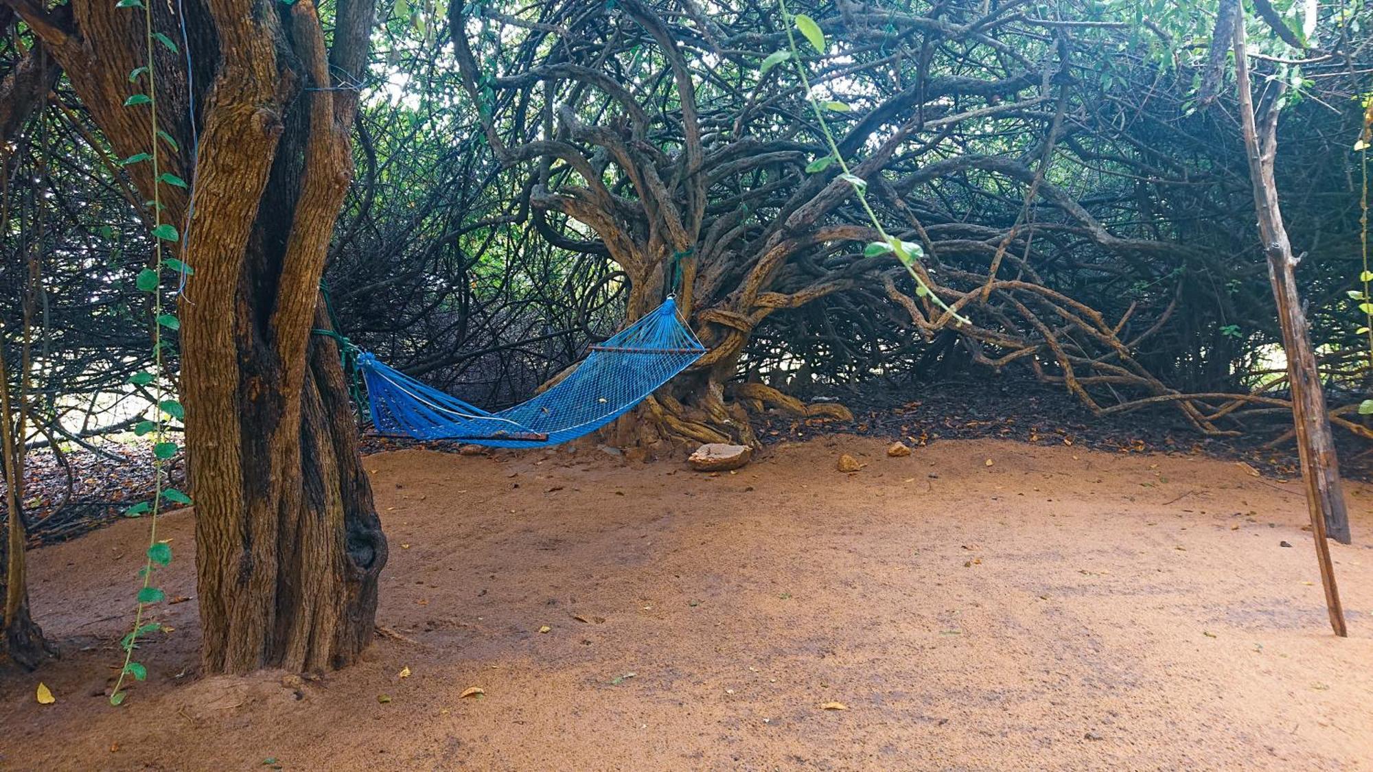 Yala Eco Bush Camp 호텔 외부 사진